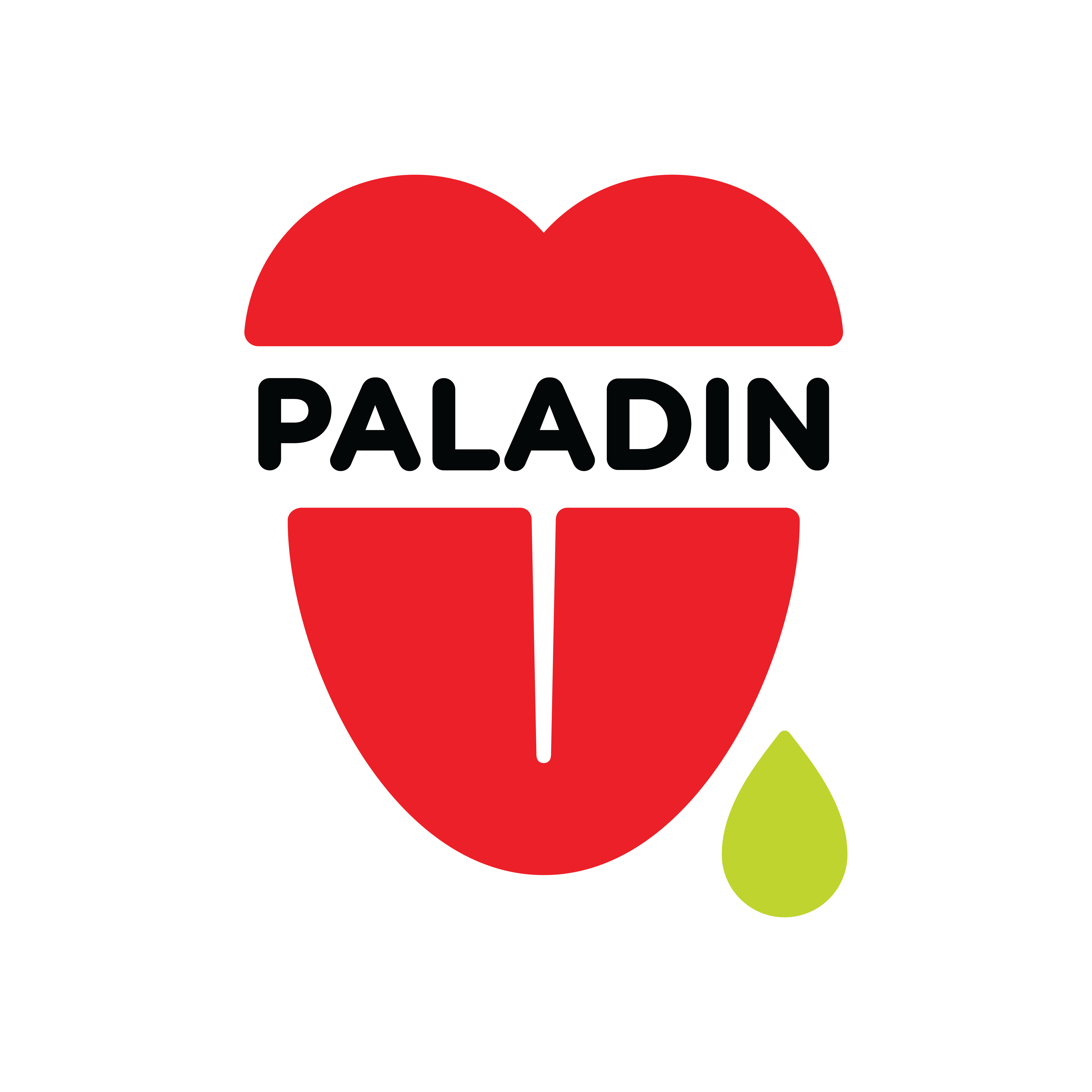 Logo Paladin